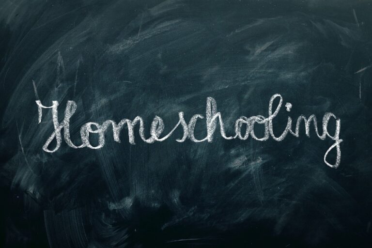 5 Things to Consider Before You Start Homeschooling: What You Need to ...